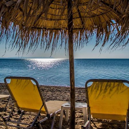 Philoxenia Beach Nea Vrasna Bagian luar foto